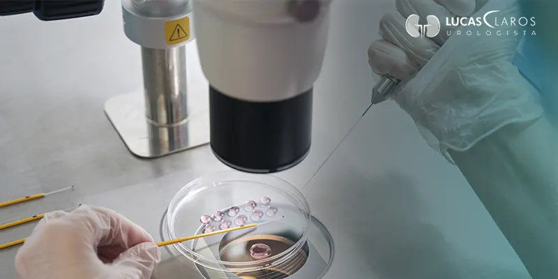 O que é fertilização in vitro e por que tantos casais estão optando por ela?