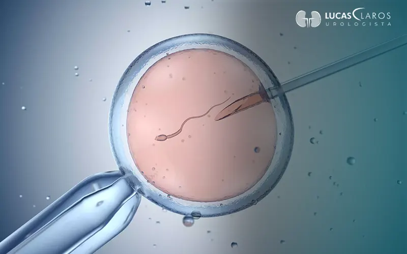 Fertilização in vitro ou inseminação artificial: qual a diferença e como saber o que é ideal para você? 