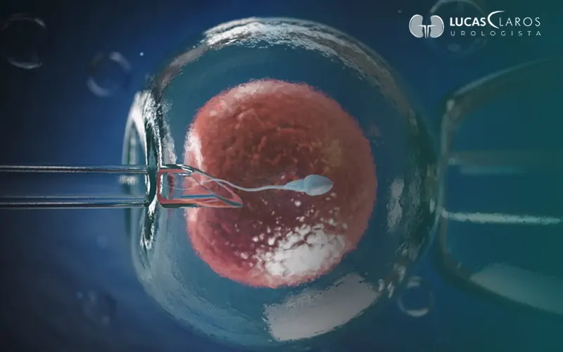 Como funciona a fertilização in vitro? Um guia para entender cada etapa do tratamento 