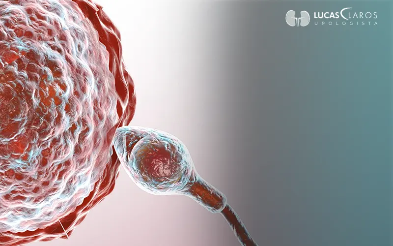 Médico especialista em reprodução humana: entenda quando procurar e o que esperar da consulta