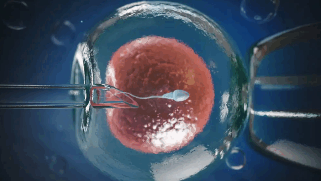 Clínica de fertilização in vitro: o que avaliar antes de escolher onde realizar seu tratamento 