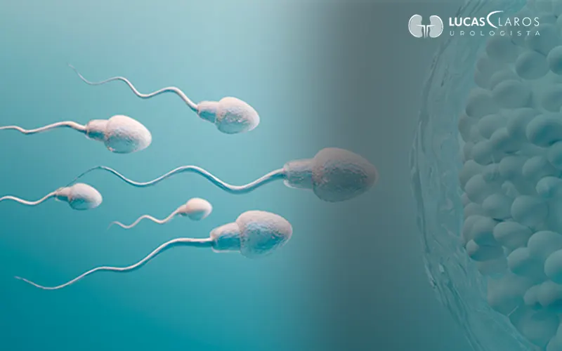 Reversão de vasectomia: é possível recuperar a fertilidade? Veja o que diz a medicina 