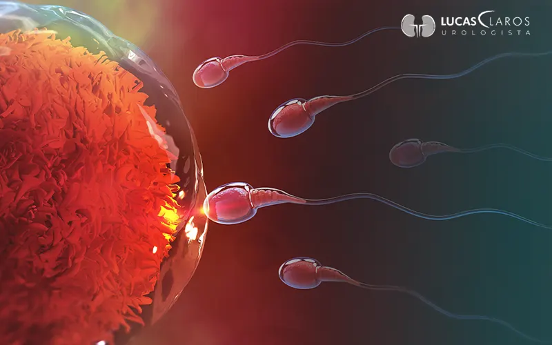 Médico especialista em fertilidade: quando é hora de procurar 