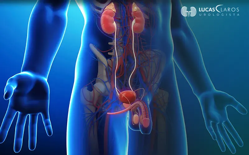 O que é prostatite e como pode afetar a fertilidade masculina
